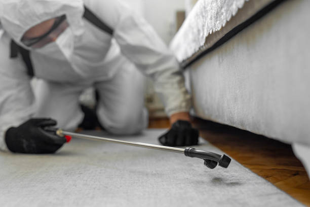 Professional Bed Bug Control technician working in Glen Cove, NY