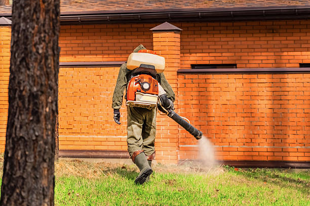 Trusted Cockroach Control service in Glen Cove, NY - Nex Pest Control